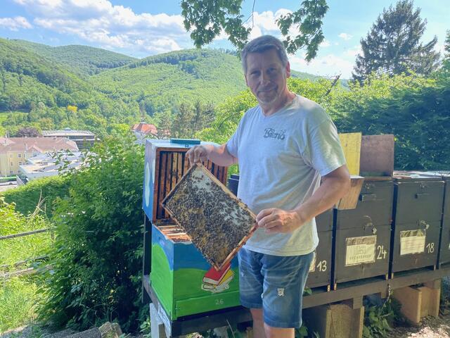 Imker Benno Karner mit seinen Bienen auf der Feihlerhöhe. | Foto: Marlene Trenker