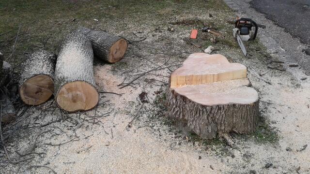 Gefällte Bäume sind laut Baumschutz Hernals ein gewohntes Bild im 17. Bezirk. | Foto: Baumschutz Hernals