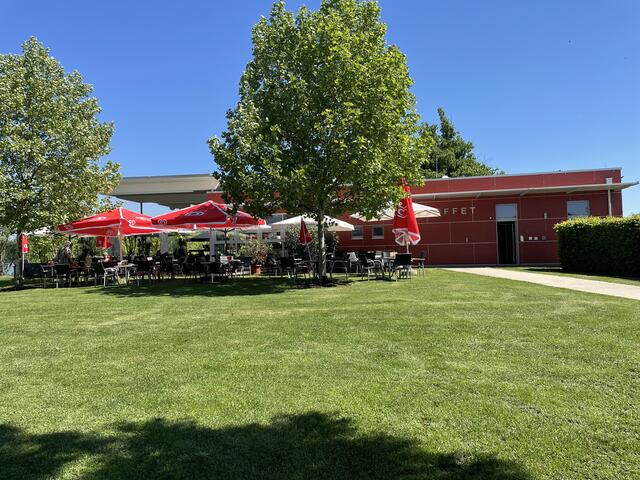 Foto: Elisabeth Kloiber