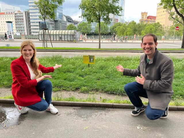 Die Bezirksvorsteher Stellvertreterin Lucia Grabetz (SPÖ) und Bezirksrat Laurentius Terzic (SPÖ) freuen sich über die neue Wildwiese. | Foto: SPÖ Innere Stadt