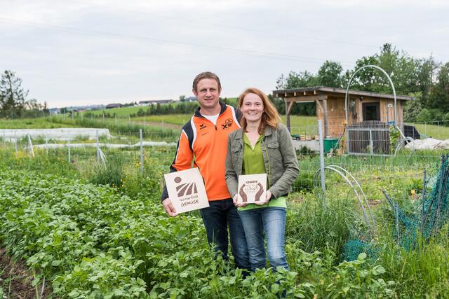 Mit Freude und Überzeugung widmen sich Andrea und Josef Hofer seit drei Jahren dem naturbelassenen und frischen Biogemüse. | Foto: Alfred Hofer