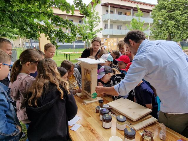 Direkter Blick in ein Bienenvolk - Wo ist die Königin? | Foto: (c) Imkerverein Mureck by Klaus Seidl