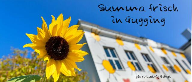 Foto: gugging friends