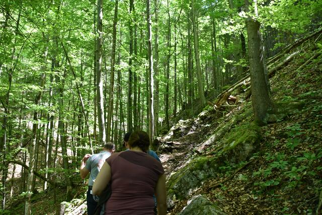 Auf dem Weg zur Ötscher-Tropfsteinhöhle | Foto: Roland Mayr