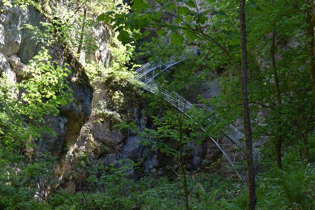 Der Steig zur Östcher-Tropfsteinhöhle erstrahlt nun in völlig neuem Glanz. | Foto: Roland Mayr