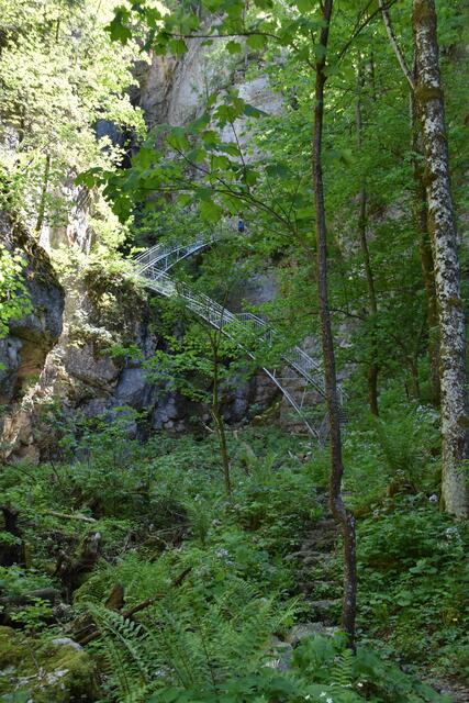 Der Steig zur Östcher-Tropfsteinhöhle erstrahlt nun in völlig neuem Glanz. | Foto: Roland Mayr