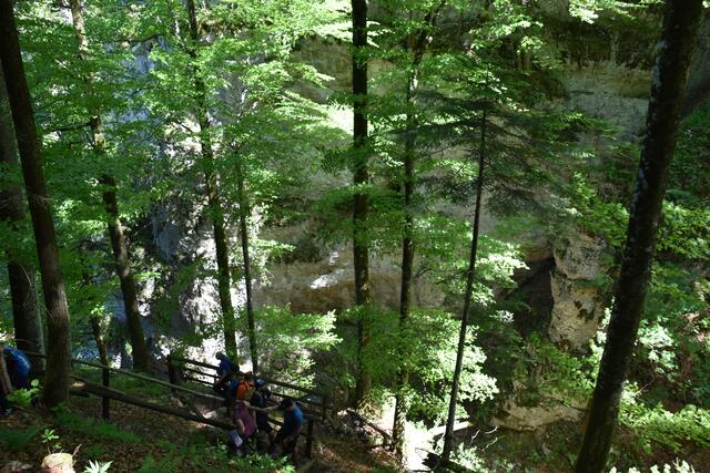 Auf dem Weg zur Ötscher-Tropfsteinhöhle | Foto: Roland Mayr