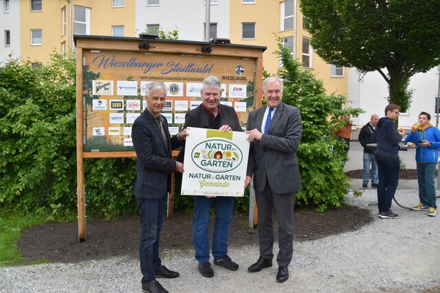 Stadtrat Werner Tazreiter, Bürgermeister Josef Leitner und Landesrat Martin Eichtinger bei der Eröffnung des Stadtwalds in Wieselburg | Foto: Roland Mayr