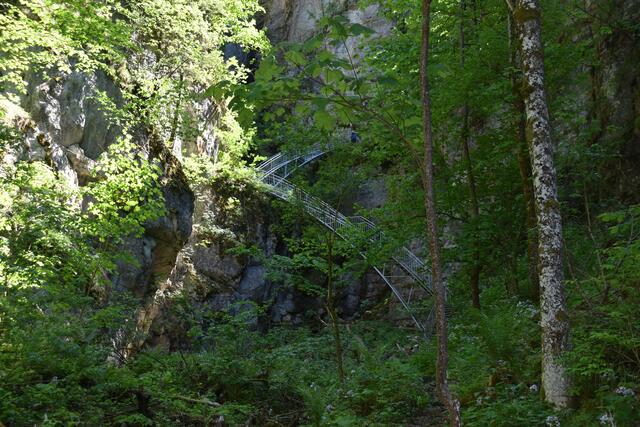 Der Steig zur Östcher-Tropfsteinhöhle erstrahlt nun in völlig neuem Glanz. | Foto: Roland Mayr