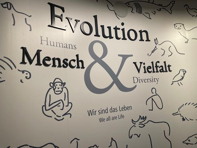 Auf 400 Quadratmetern und aufgeteilt auf sechs Räume finden sich über 300 Objekte, auch Filme und interaktive Medien sind Teil der Ausstellung.  | Foto: Lisa Gold