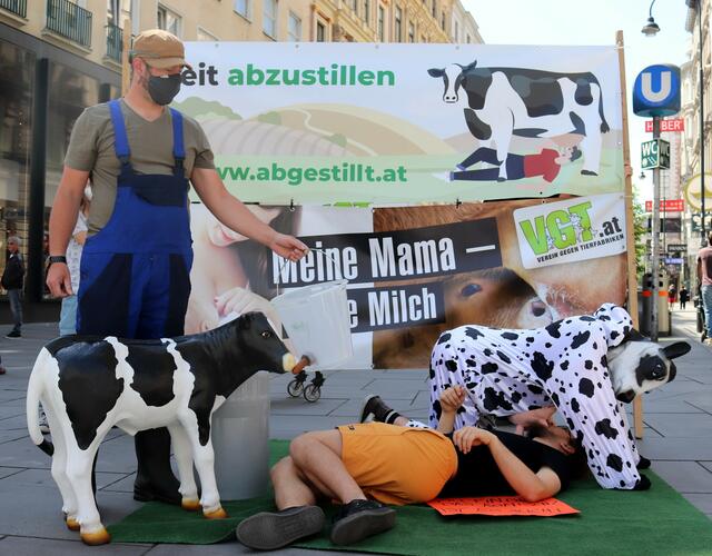 "Es ist Zeit, abzustillen", fordert hingegen der Verein gegen Tierfabriken (VGT). Mit Protestaktionen wie hier in Wien, will die Tierschutzorganisation anlässlich des Weltmilchtages dazu aufrufen, den eigenen Konsum von Kuhmilch zu hinterfragen.  | Foto: VGT.at