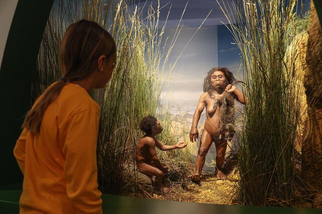 Mit der neuen Ausstellung „EVOLUTION Mensch&amp;Vielfalt“ zieht eines der ganz großen Themen der Biologie dauerhaft im Haus der Natur ein – die Evolution. | Foto: HdN/Neumayr
