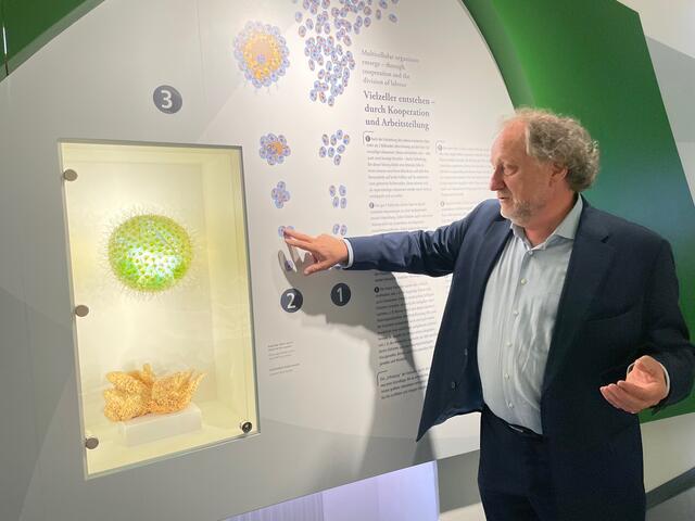 Der Direktor des Haus der Natur, Norbert Winding, führte durch die Ausstellung.  | Foto: Lisa Gold