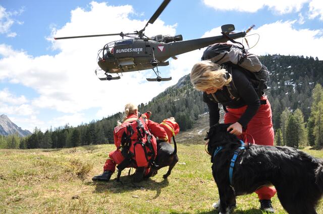 Die Österreichische Rettungshundebrigade  (ÖRHB) führte in Mitterberg-Sankt Martin eine zweitägige Einsatzübung mit einer Tag- und Nachtsuche in teils unwegsamen Gelände durch. | Foto: ÖRHB/Khälß