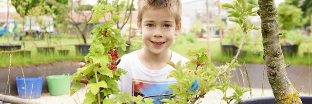 So bleiben Wiener Volksschüler gesund: Das Projekt "Schlau sein – gesund essen" bietet Workshops und Schulungen über Ernährung. Die Pilotphase im 2., 20., und 21. Bezirk läuft bis 2023. | Foto: FGÖ