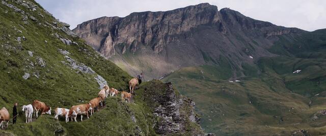 Robert Schabus begibt sich in seinem Kino-Dokumentarfilm "Alpenland" auch auf eine Reise zu Bergbauernhöfen im Mölltal. | Foto: Nikolaus Geyrhalter Filmproduktion
