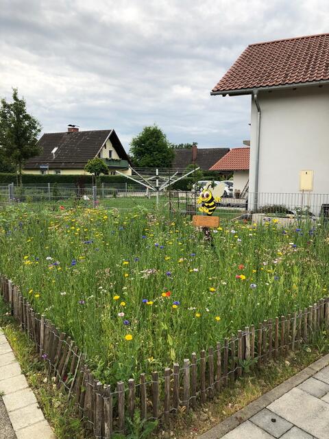 So kann eine reiche Blumenwiese für Insekten aussehen.  | Foto: sm