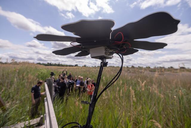 Foto: Maximilian Rosenberger