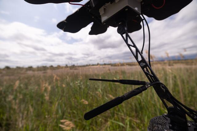 Foto: Maximilian Rosenberger