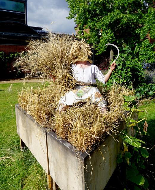 "Becoming with Wheat and (other More-Than-Human Others)" heißt dieses Projekt, das von Amanda Couch stammt. | Foto: Amanda Couch