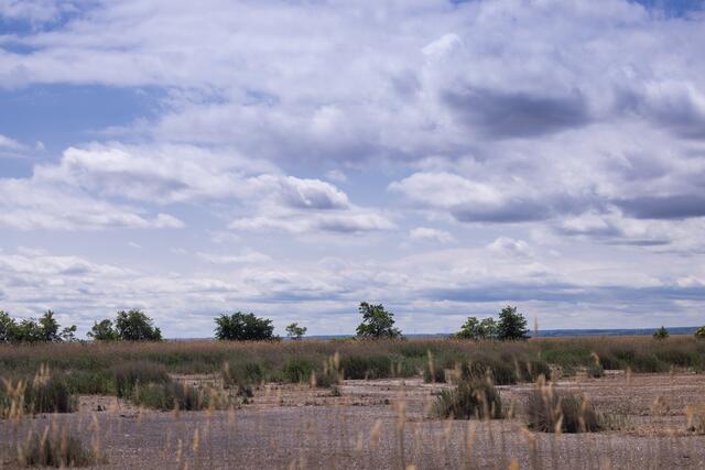 Foto: Maximilian Rosenberger