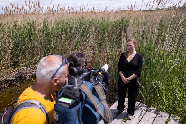 Foto: Maximilian Rosenberger