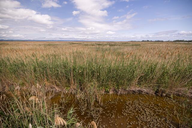 Foto: Maximilian Rosenberger