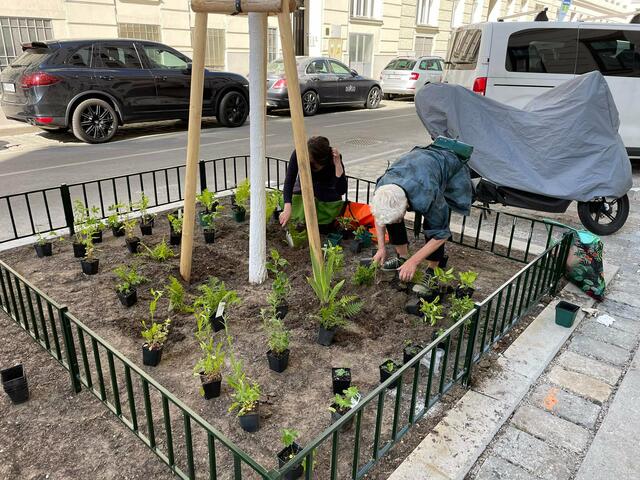 Gemeinsam begrünten die Anrainerinnen und Anrainer die Heinzelmanngasse. | Foto: BV20