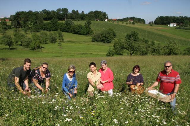 Eveline Liebmann (Mitte) und ihr Team beim Blumenpflücken in Schamberg | Foto: Josef Fürbass