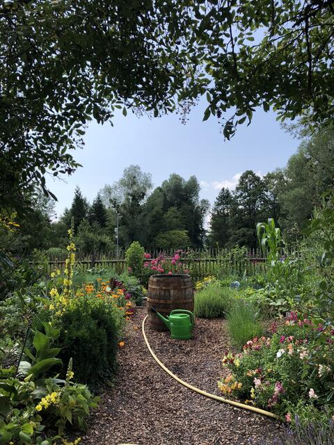 Ein vielfältiger Garten ist ein Eldorado für Insekten und Co. Mit einigen Tricks lässt sich auch umweltfreundlich gärtnern. | Foto: sm