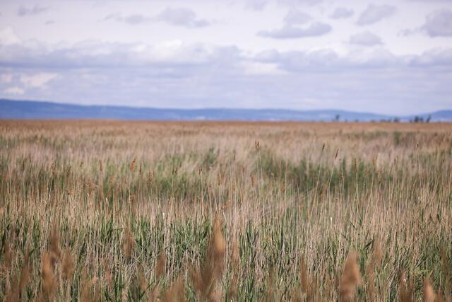 Foto: Maximilian Rosenberger