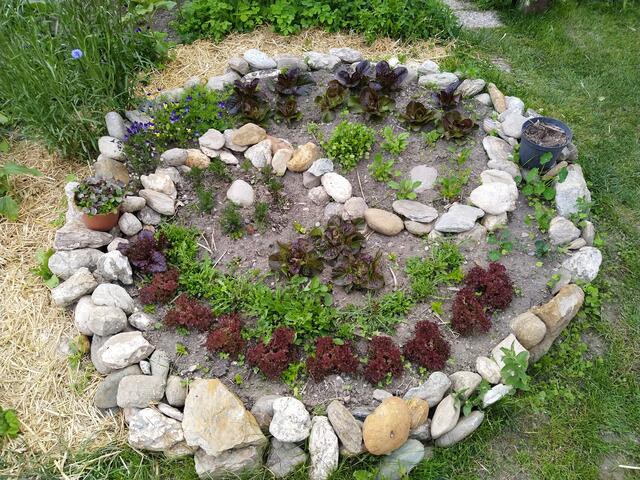 Essbare Orte gibt es viele im Wipptal und es werden immer mehr. | Foto: privat