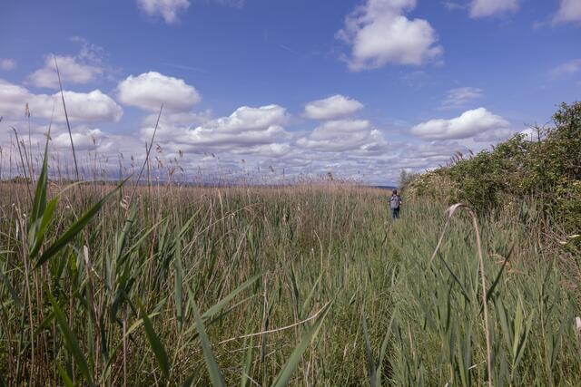 Foto: Maximilian Rosenberger