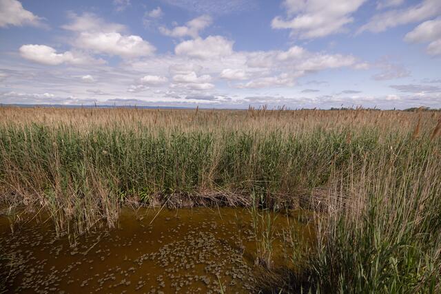 Foto: Maximilian Rosenberger