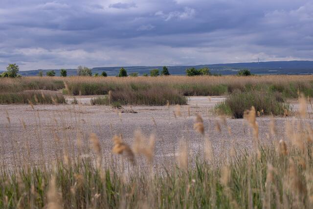 Foto: Maximilian Rosenberger