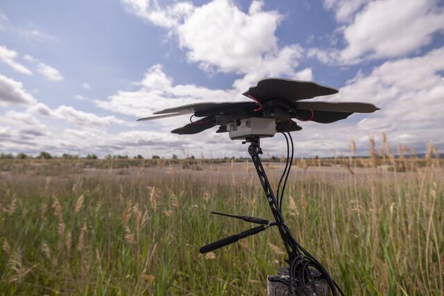 Foto: Maximilian Rosenberger