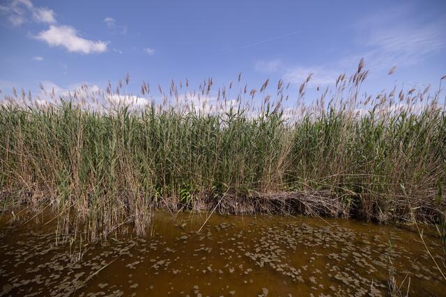 Foto: Maximilian Rosenberger