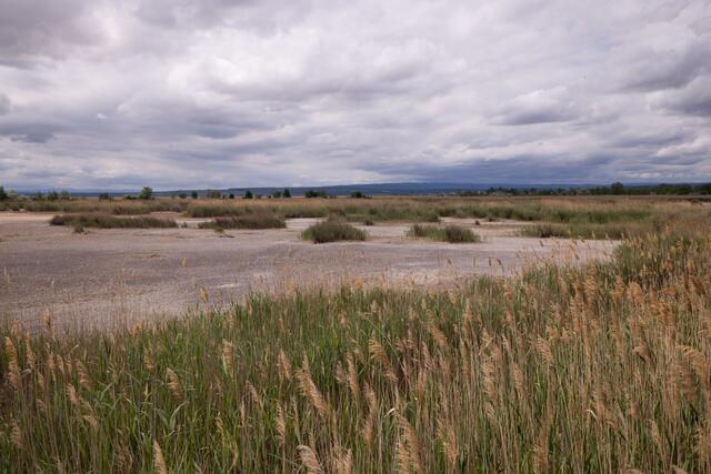 Foto: Maximilian Rosenberger