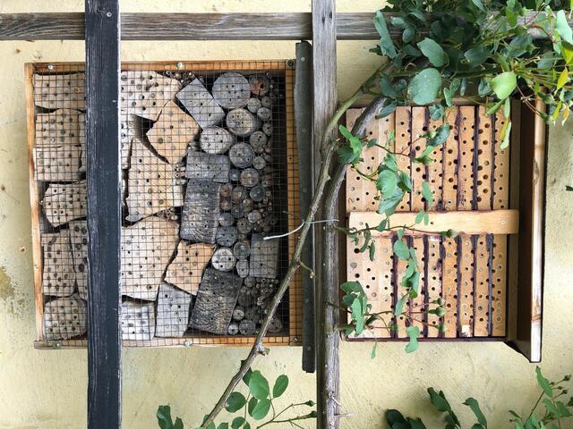 Insektenhotels locken viele Bestäuber und Nützlinger an. | Foto: sm