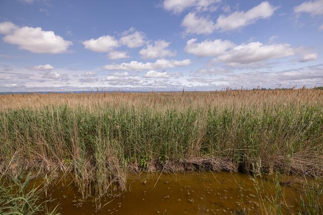 Foto: Maximilian Rosenberger