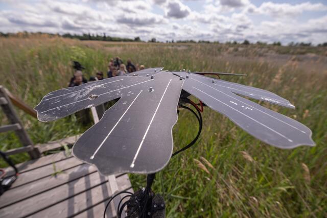 Foto: Maximilian Rosenberger