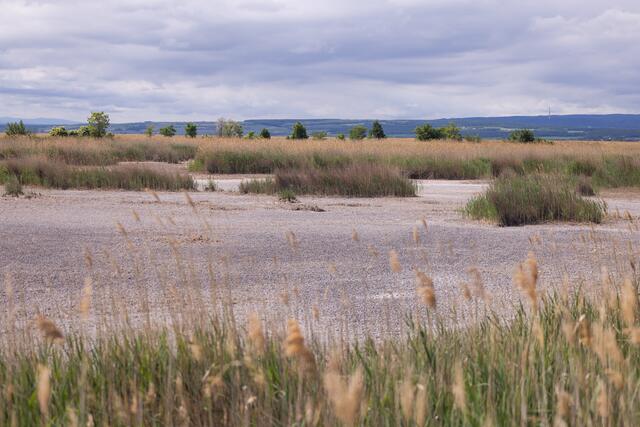 Foto: Maximilian Rosenberger