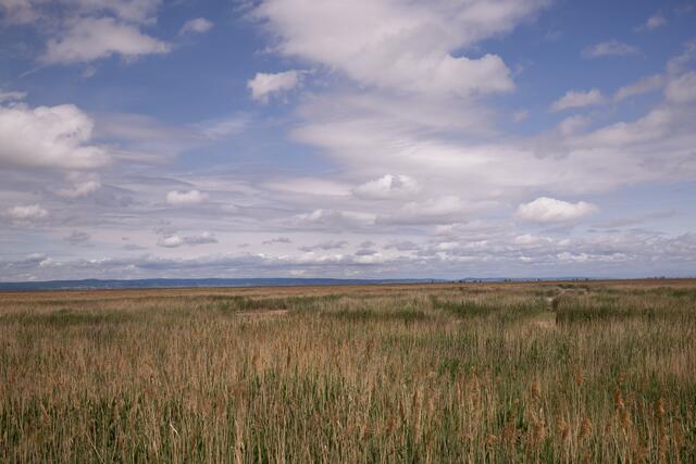 Foto: Maximilian Rosenberger