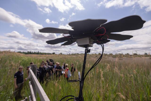 Foto: Maximilian Rosenberger