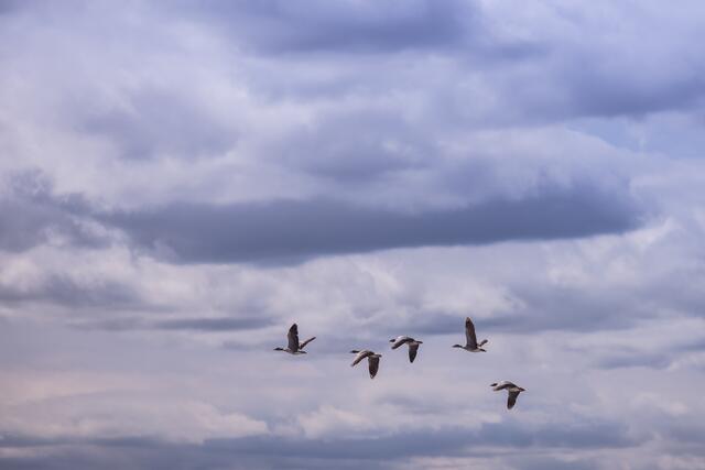 Foto: Maximilian Rosenberger