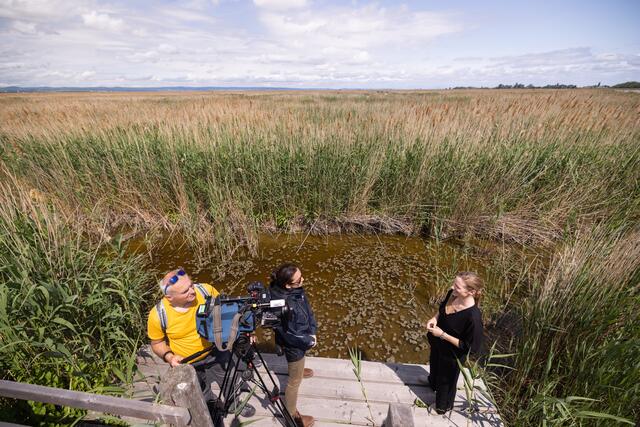 Foto: Maximilian Rosenberger