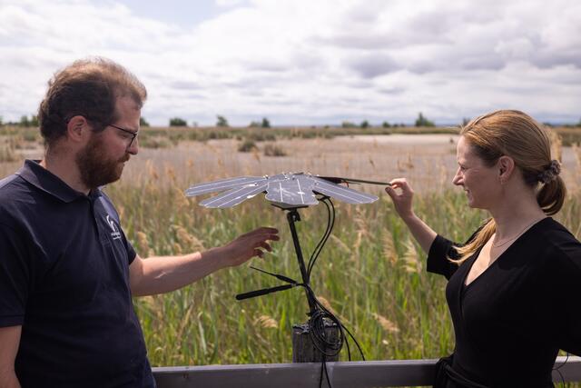 Foto: Maximilian Rosenberger