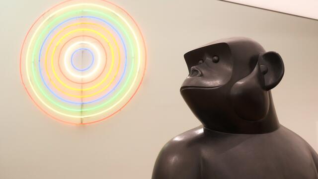 Eines der markantesten Ausstellungsstücke der Sammlung: Der "Besonnene Affe". | Foto: Maximilian Spitzauer