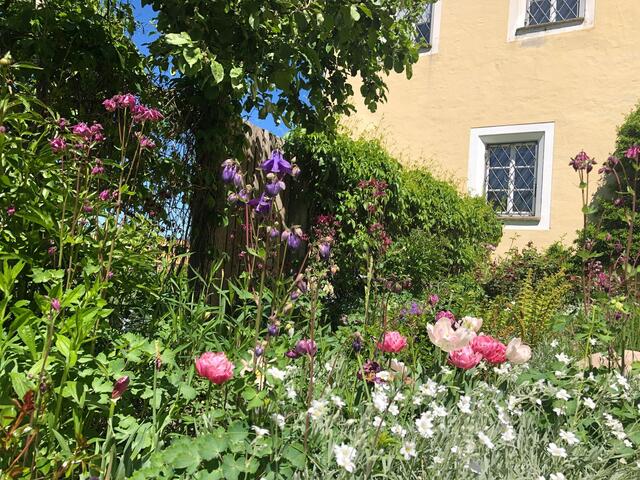 Mit einem bunten Garten, der ein blühendes Angebot das ganze Jahr über bietet lockt man viele Insekten herbei.  | Foto: sm