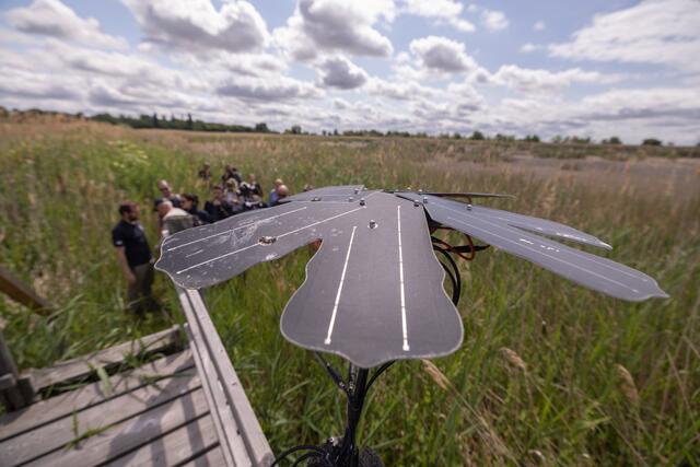 Foto: Maximilian Rosenberger